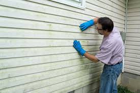 Best Siding Painting and Refinishing  in Muskego, WI